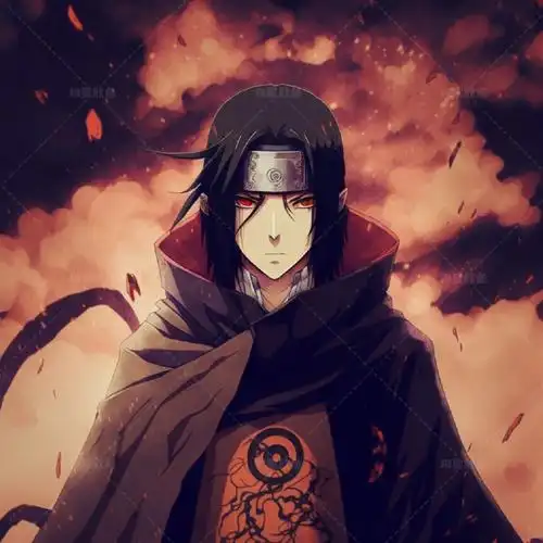 为美好的世界献上祝福最新话